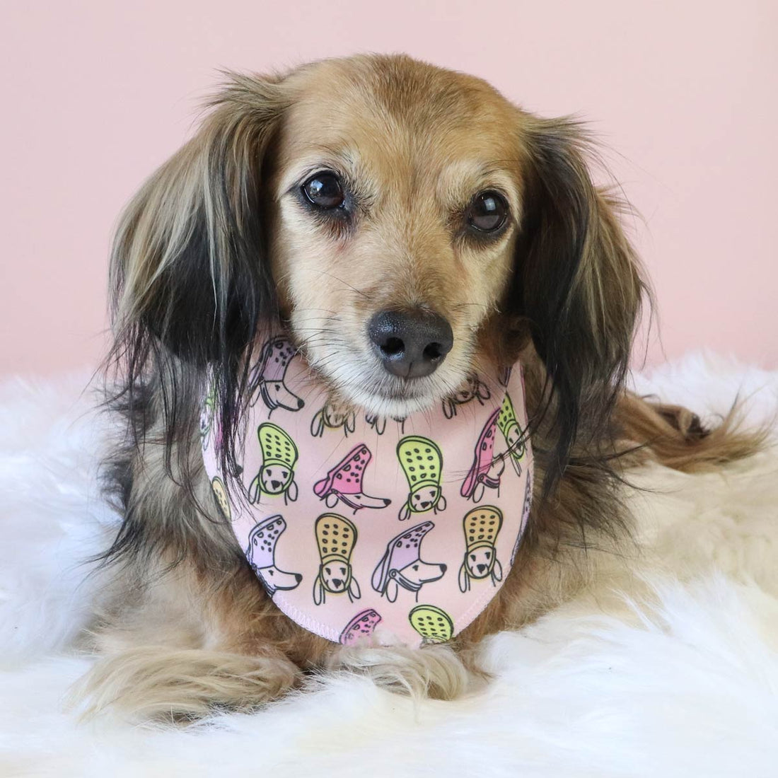 croc to my dox dog bandana - bean goods